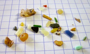 図7 ハシボソミズナギドリから検出されたプラスチック片