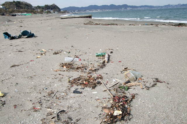 プラスチックゴミが漂着している浜辺の様子
